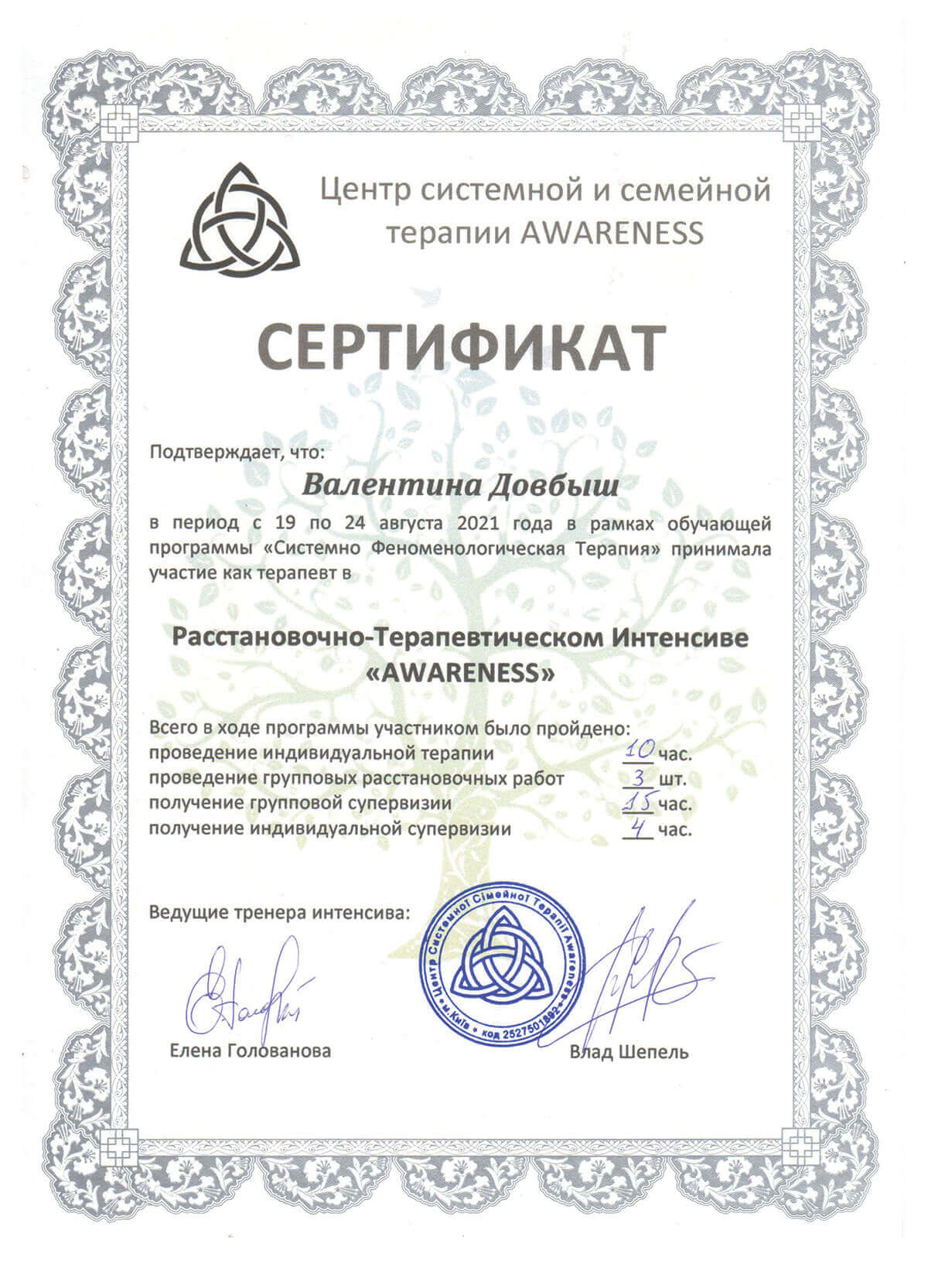 Сертификат Валентина Довбыш